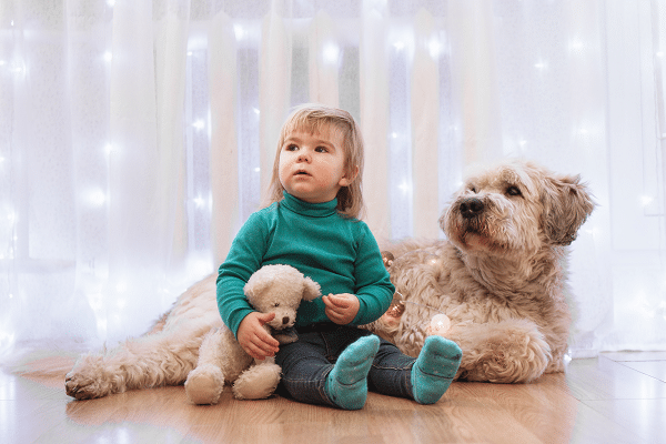 Benefits Of Owning A Dog