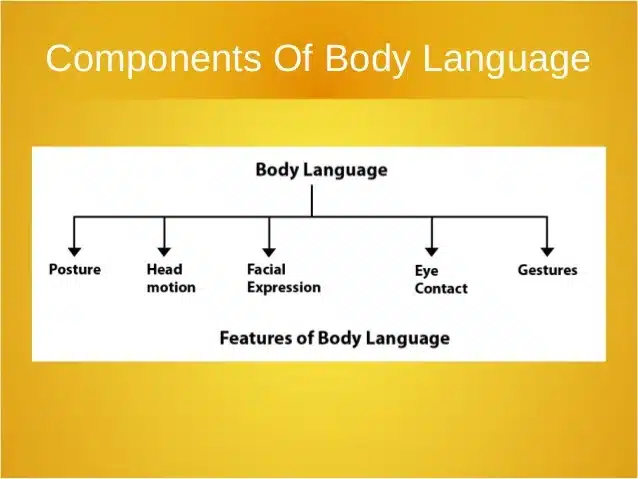 Mastering Body Language