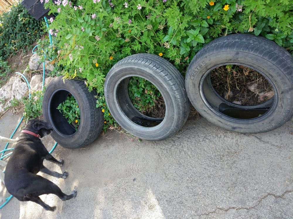 Upcycling Ideas: Giving Old Items A Fresh New Purpose