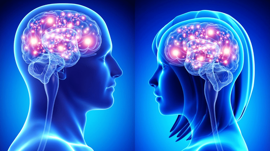 Boost Your Brain Power with These Daily Habits